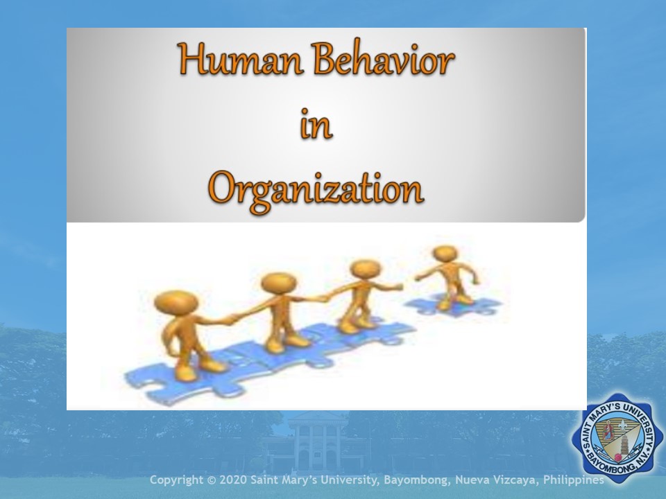 what is human behavior in organization all about